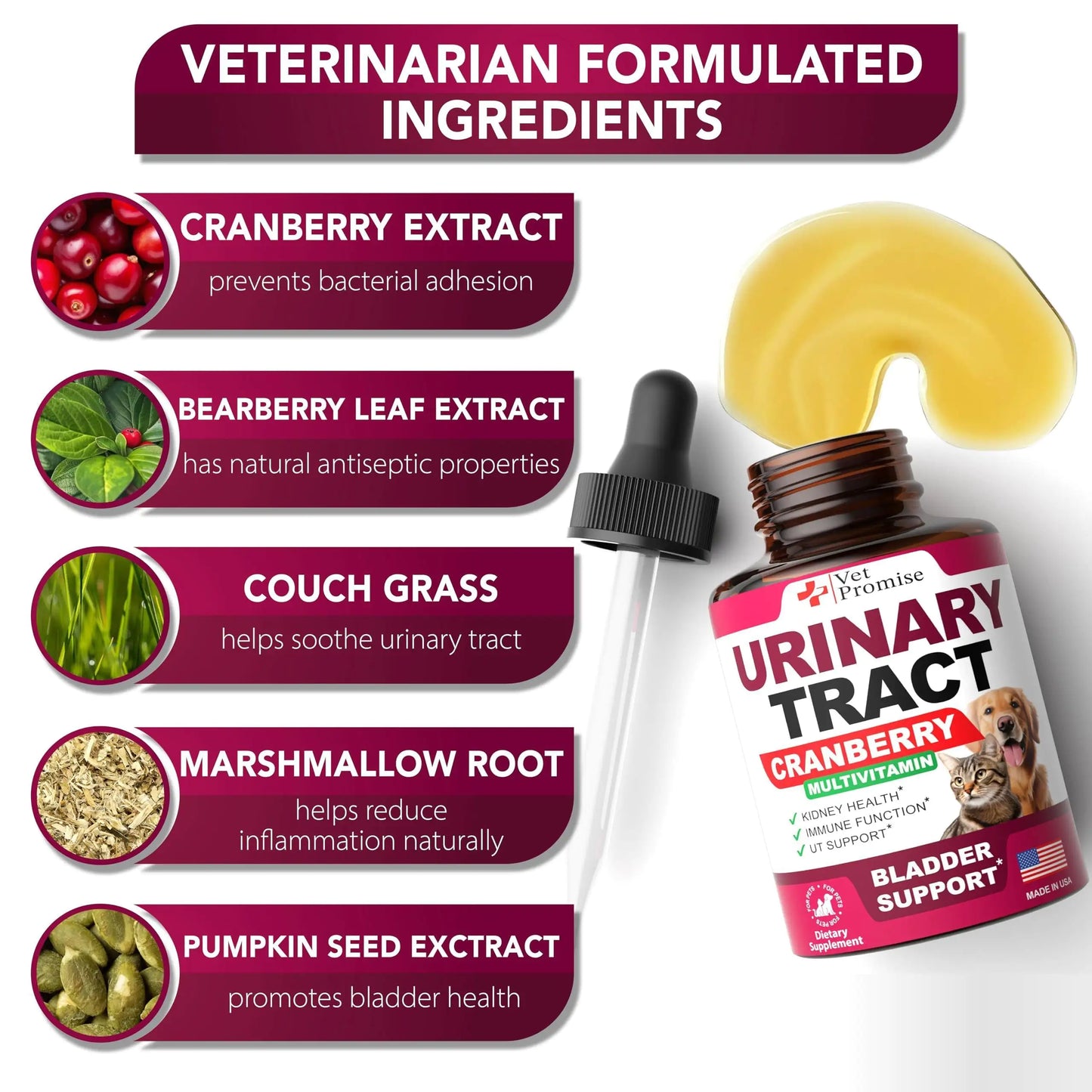 Natural Cranberry UTI Support for Cats Dogs Premium Kidney Bladder Health